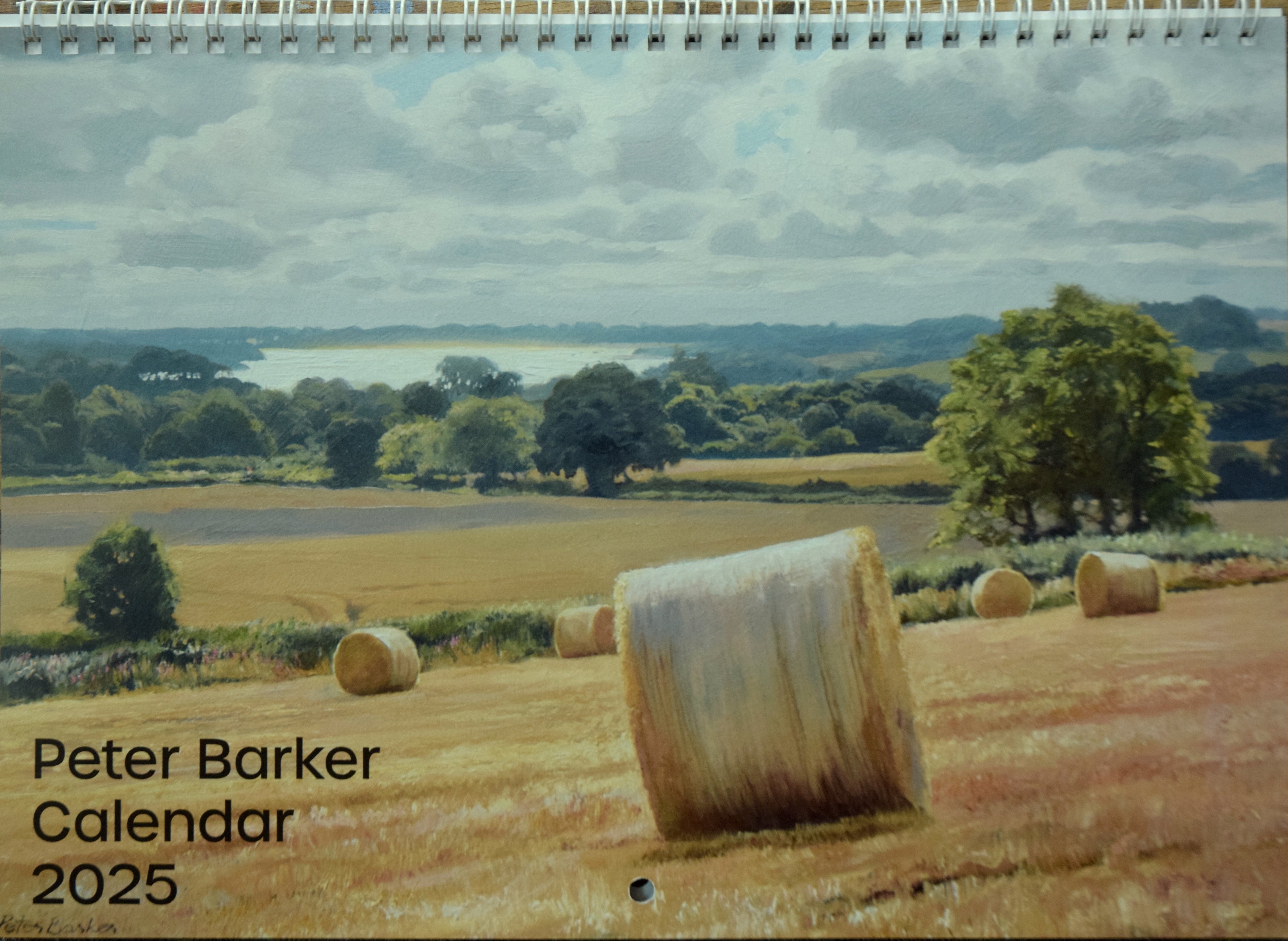 Peter Barker 2025 Calendar P E T E R B A R K E R F I N E A R T