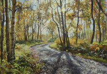 Load image into Gallery viewer, 13 x 19 inch Pastel painting of the woodland above High Wray farm, with a stony path leading through, with bright Autumn coloured trees,many Silver Birches. The sun is glinting through trees in the mid right foreground.