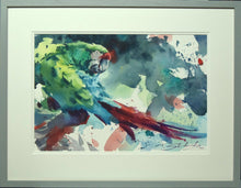 Load image into Gallery viewer, Wonderful portrait of a Military Macaw, green, blue and red feathers - not an easy-shaped bird to place on paper with its long tail, so Tom has cleverly put the body of the bird on the far left, with its head turned over its back to take the eye over to the red tail and the abstract background - masterly! Also shows the light grey square frame moulding and a double ivory mount.