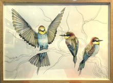 Load image into Gallery viewer, Bee Eaters by Amelie Golesworthy
