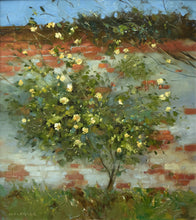 Load image into Gallery viewer, Portrait of a yellow-flowered rose bush scrambling over a partly rendered brick wall, with a bright blue sky above it at the top of the picture plane.
