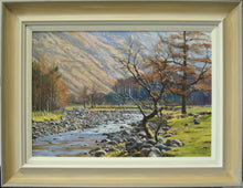 Load image into Gallery viewer, Bright Day, Stonethwaite Beck, by Peter Barker
