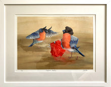 Load image into Gallery viewer, Digital painting of a pair of Bullfinches, one dressed as a Matador with a red cape, the other as a bull, in a white frame