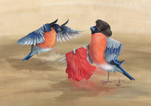 Load image into Gallery viewer, Digital painting of a pair of Bullfinches, one dressed as a Matador with a red cape, the other as a bull, two of its wing feathers like a pair of horns