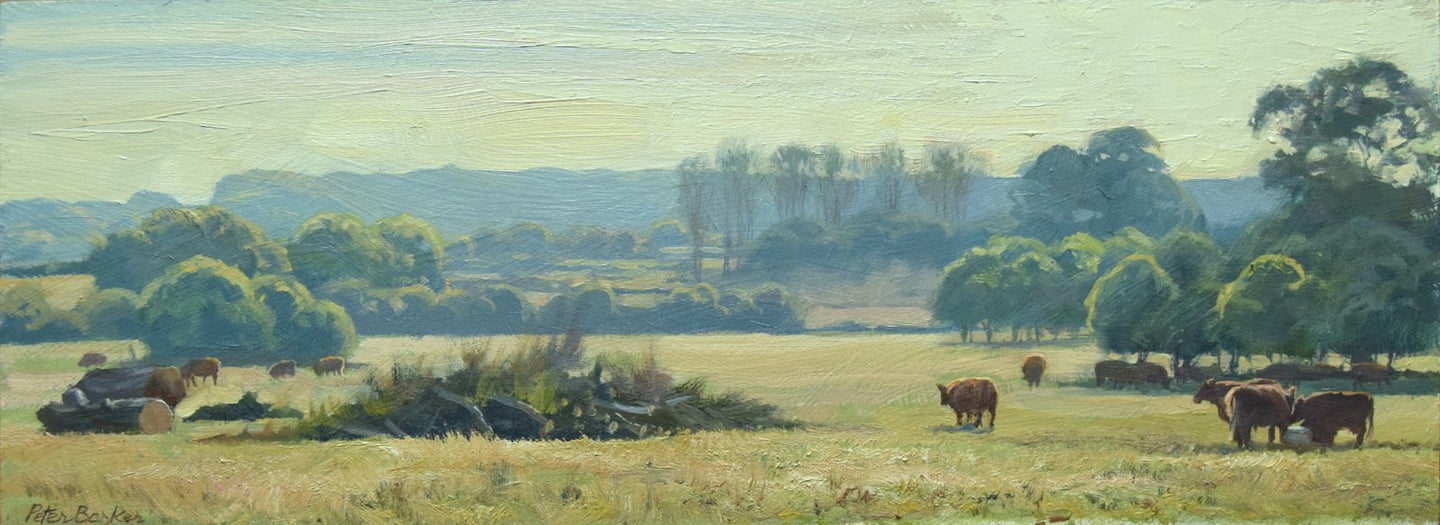 Cattle at Doddington by Peter Barker