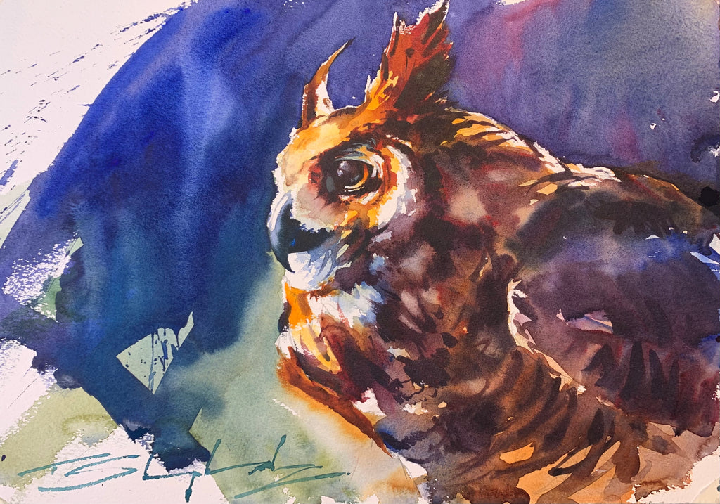 Watercolour portrait of an Eagle Owl by Tom Shepherd with blue washes in the background around the ochres on the bird’s head.