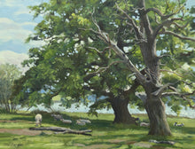 Load image into Gallery viewer, A 9 x 12 inch oil painting of a big, vigorous Oak tree next to an old, dead Oak, close to the shores of Rutland Water at Barnsdale, with a few sheep resting in the shade.
