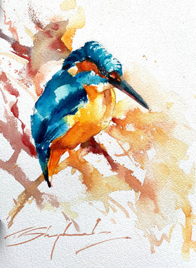 Watercolour painting by Tom Shepherd, depicting a Kingfisher perched amongst undergrowth, waiting for its next victim