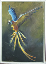 Load image into Gallery viewer, Oil painting of a Yellow Macaw in flight, in a white, floating frame