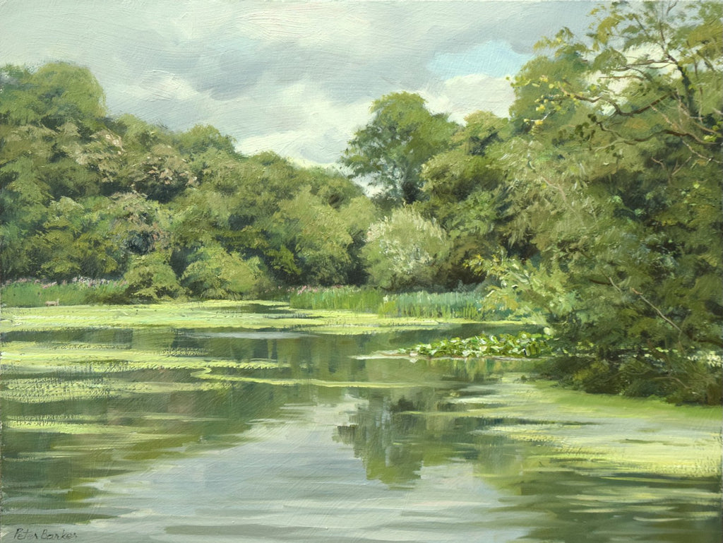 9 x 12 inch oil, painted on site at Renishaw Lake, with lots of greens abounding, trees all around a still lake.