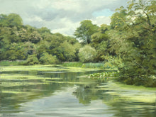 Load image into Gallery viewer, 9 x 12 inch oil, painted on site at Renishaw Lake, with lots of greens abounding, trees all around a still lake.
