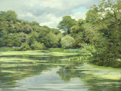 9 x 12 inch oil, painted on site at Renishaw Lake, with lots of greens abounding, trees all around a still lake.