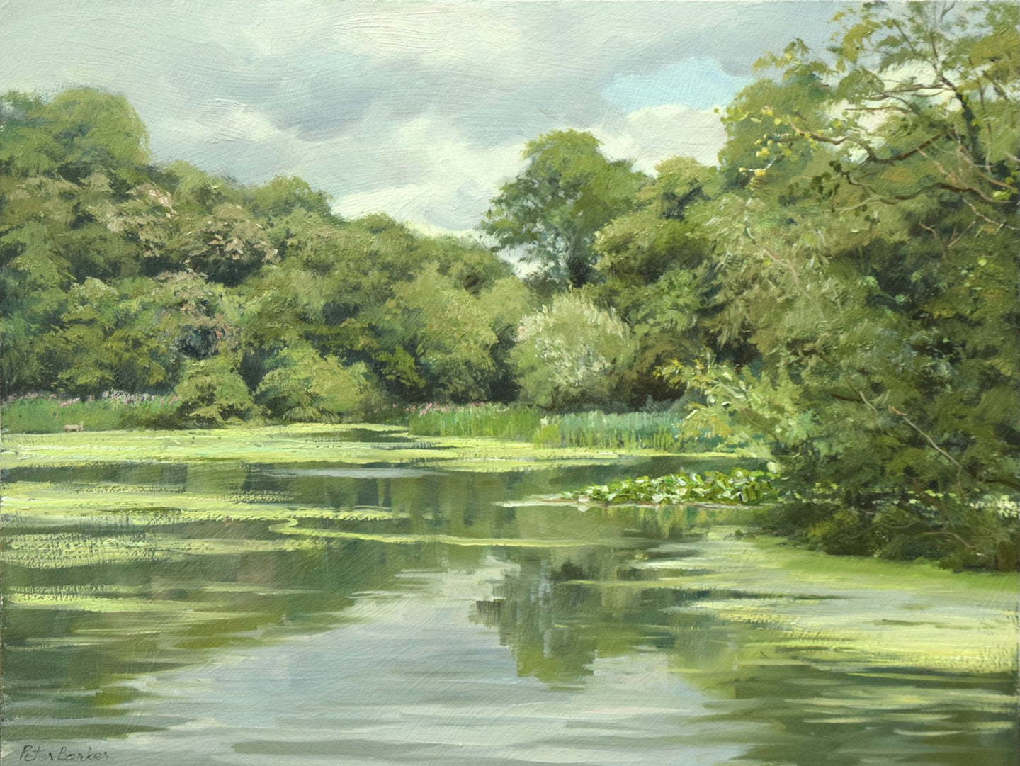 9 x 12 inch oil, painted on site at Renishaw Lake, with lots of greens abounding, trees all around a still lake.