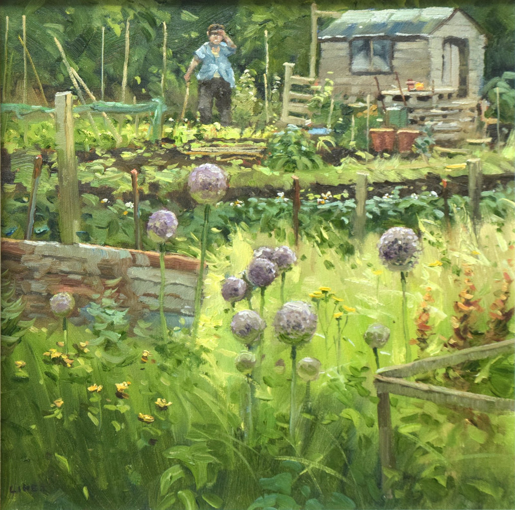 14.25 x 14.25 ins oil painting on canvas, with large purple aliums in full flower in the foreground, with the allotment owner looking at them standing by his shed at the top of the picture.