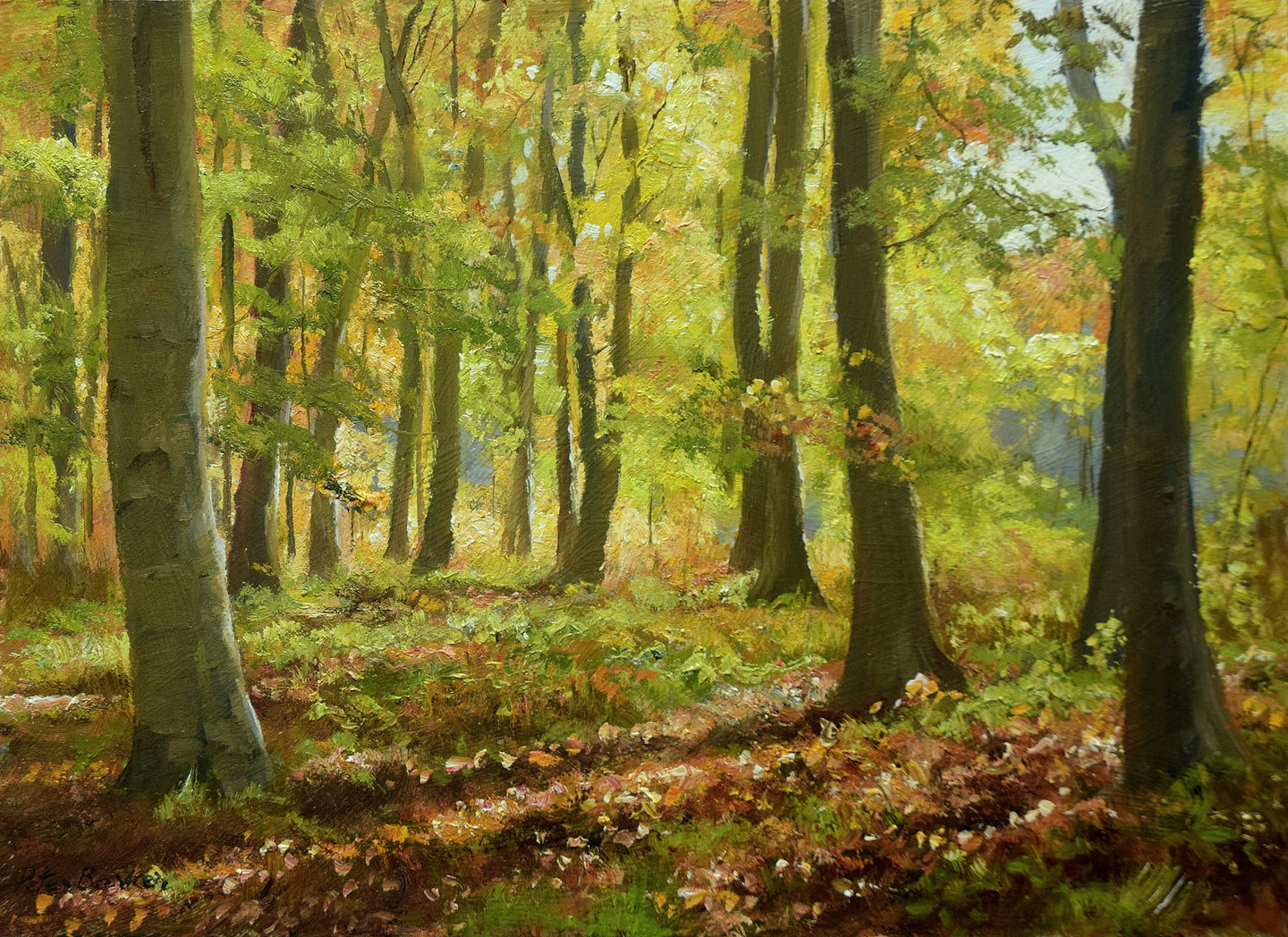 Autumn Amongst the Beeches, by Peter Barker