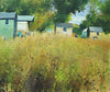 acrylic painting of several sheds high up on the picture plane, trees behind them and a foreground of flowers and vegetation.