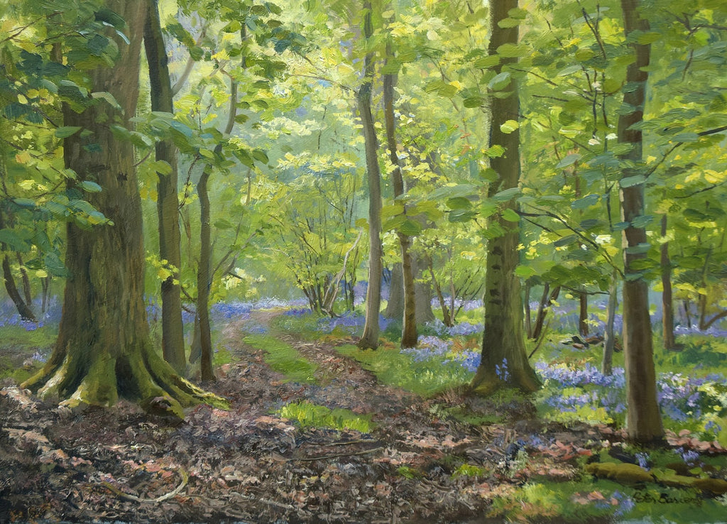 Bluebells at Barnsdale, by Peter Barker - P E T E R     B A R K E R     F I N E     A R T 