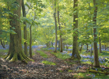 Load image into Gallery viewer, Bluebells at Barnsdale, by Peter Barker - P E T E R     B A R K E R     F I N E     A R T 
