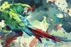 Wonderful portrait of a Military Macaw, green, blue and red feathers - not an easy-shaped bird to place on paper with its long tail, so Tom has cleverly put the body of the bird on the far left, with its head turned over its back to take the eye over to the red tail and the abstract background - masterly!