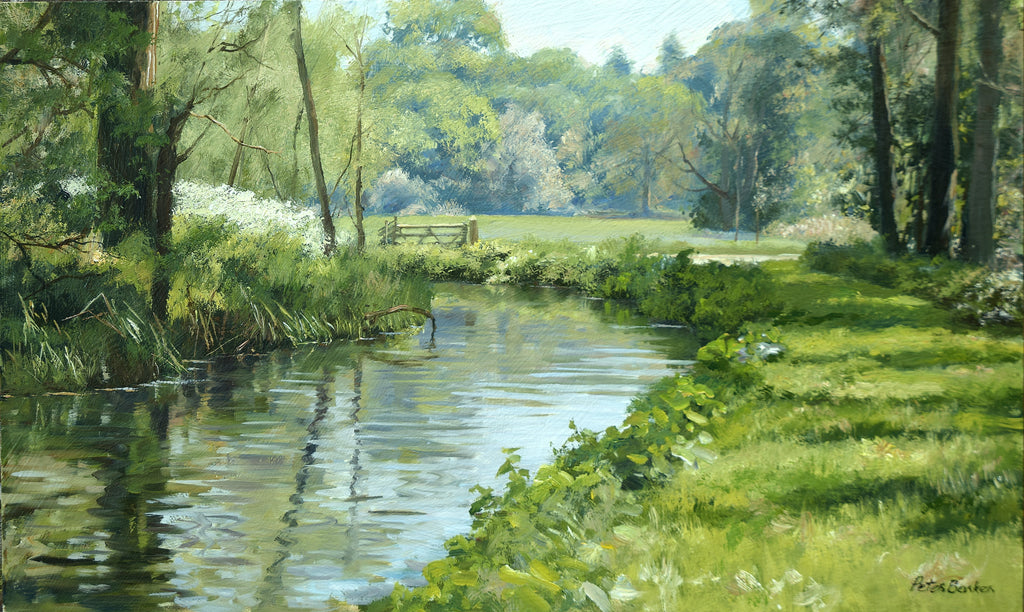 Cow Parsley by the River Coln, by Peter Barker - P E T E R     B A R K E R     F I N E     A R T 