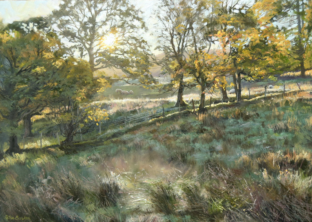 12 x 17 inch oil painting of Autumn meadows with sheep and trees, at High Wray in Langdale, the Lake District, with a pocket of mist in the foreground, hovering over the grass.