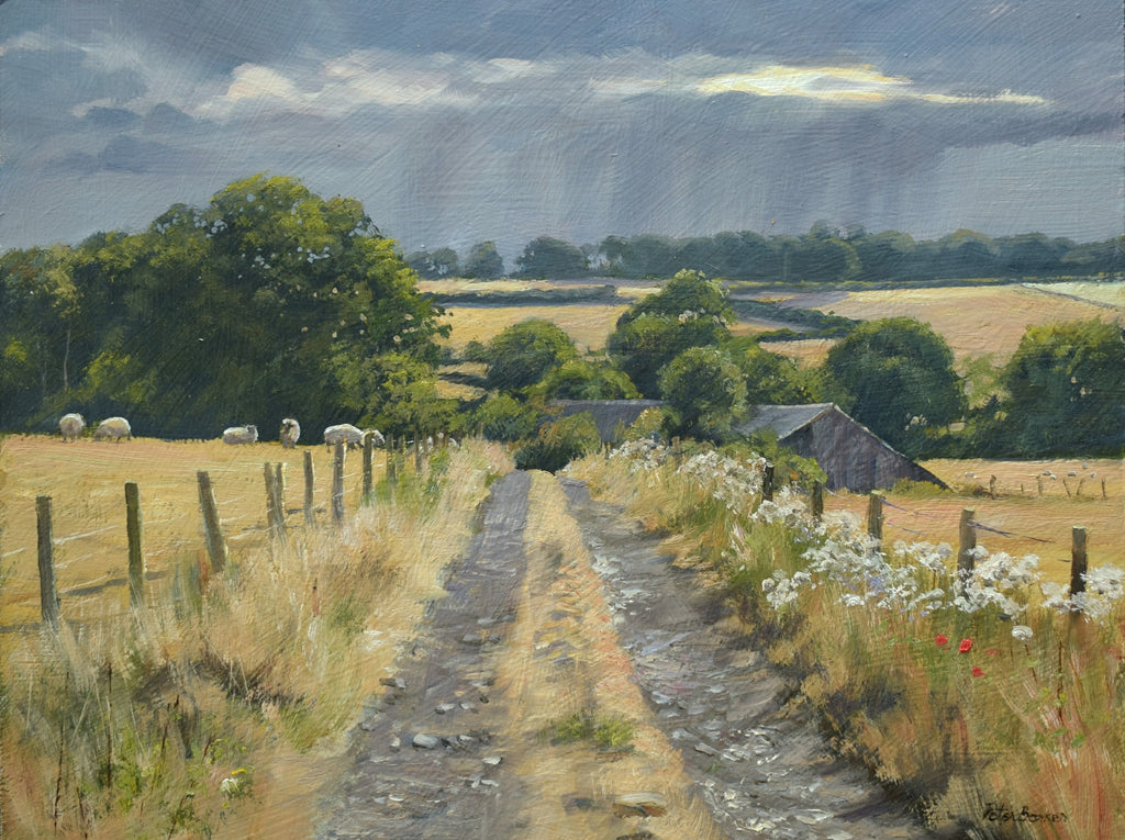Distant Shower, by Peter Barker