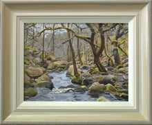 Load image into Gallery viewer, Downstream, Padley Gorge, by Peter Barker
