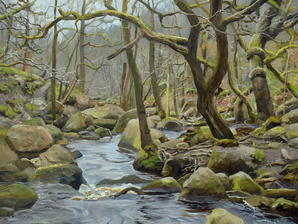 9 x 12 inch oil of Padley gorge in the Derbyshire Peak Ditrict, with lots of rocks and a tangle of trees and branches.