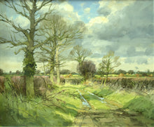 Load image into Gallery viewer, February Bridleway, by John Lines
