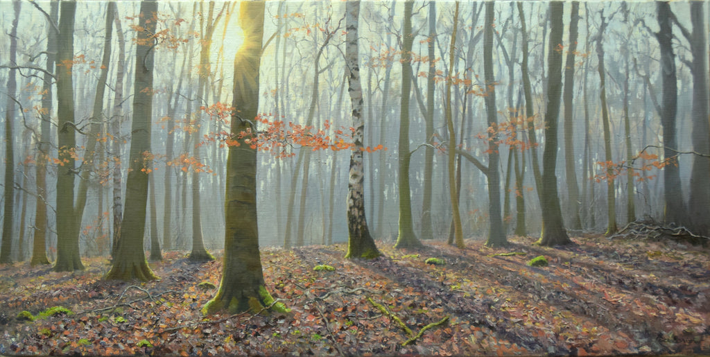 Leaf Litter at Fineshade