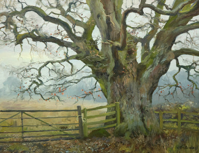 Portrait of a huge oak tree, set on the right side of the painting, with bank of grey distant trees, set on a dull day. Lots of twisted branches radiating out.