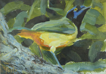Load image into Gallery viewer, Green Jay
