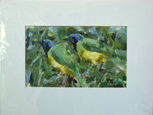Load image into Gallery viewer, Green Jay
