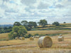 9 x 12 inch oil of round bales of straw on a hill sloping down from right to left, with distant trees and some nearer trees in the middle distance.