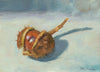Hatching Conker, by Peter Barker