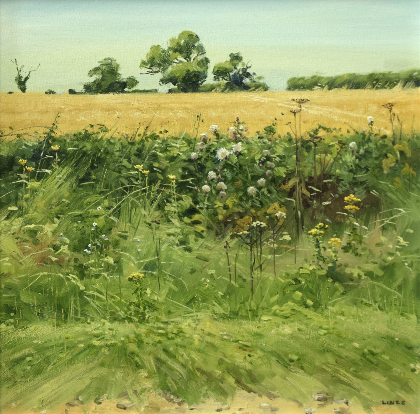 Hawkweed, Thistle and Ragwort, by John Lines RSMA