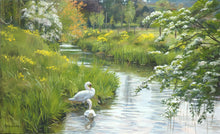 Load image into Gallery viewer, High Spring, by Peter Barker
