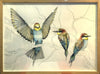 Bee Eaters by Amelie Golesworthy