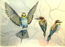 Load image into Gallery viewer, Bee Eaters by Amelie Golesworthy
