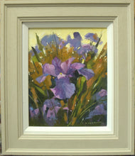 Load image into Gallery viewer, Iris, Evening Sun, by Nigel Fletcher
