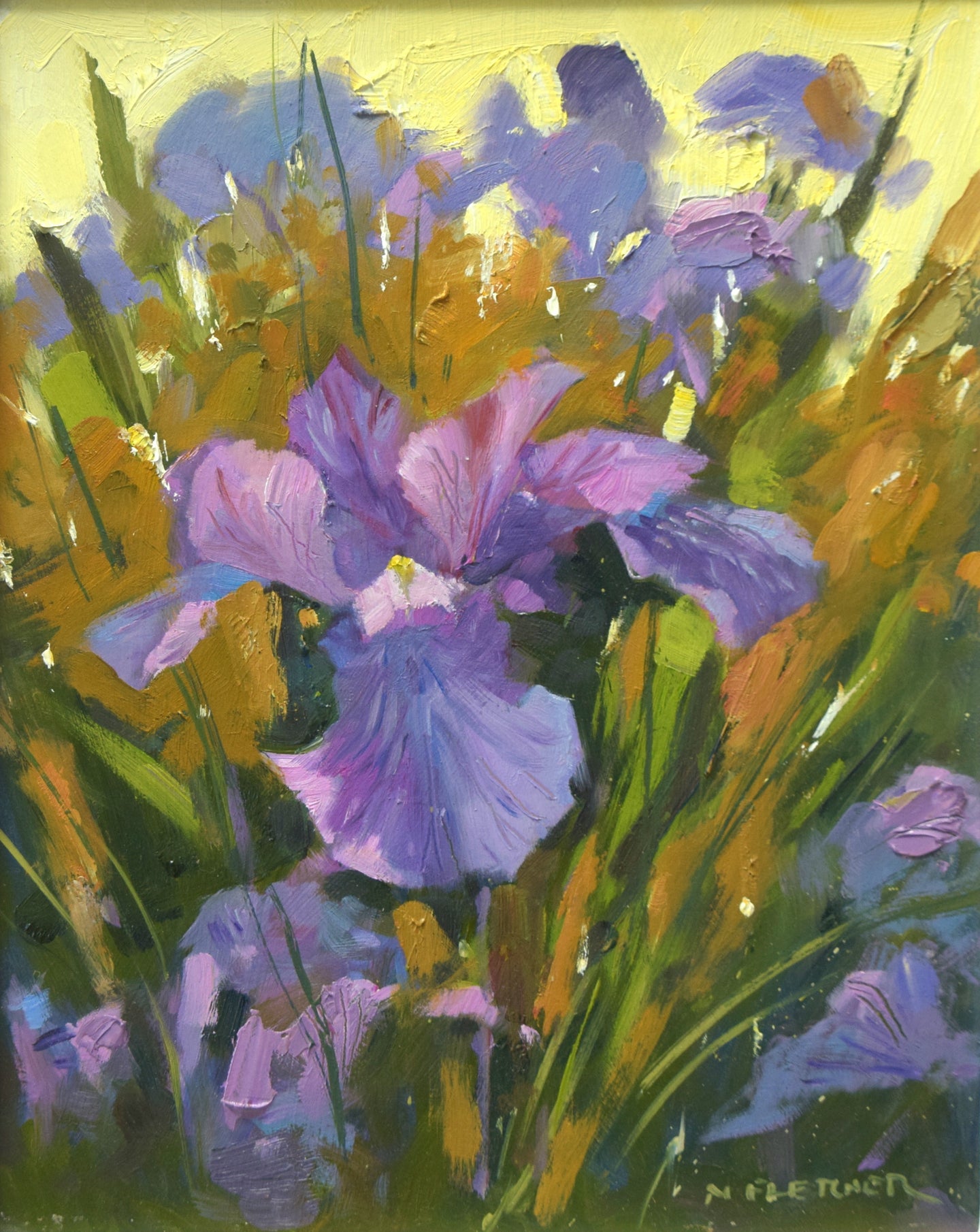 Iris, Evening Sun, by Nigel Fletcher