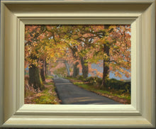 Load image into Gallery viewer, Last Light, Lyndon, by Peter Barker
