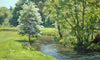 May Blossom by the Chalk Stream, by Peter Barker - P E T E R     B A R K E R     F I N E     A R T 