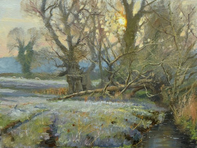 Small oil painting of trees by a stream bottom right of picture, one tree in the middle distance, a bright low sun piercing through the trees, with a light frost on the ground.