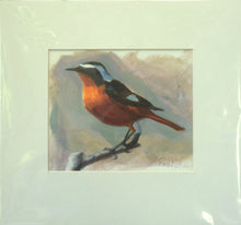 Load image into Gallery viewer, Moussiers Redstart, by Paul Powell
