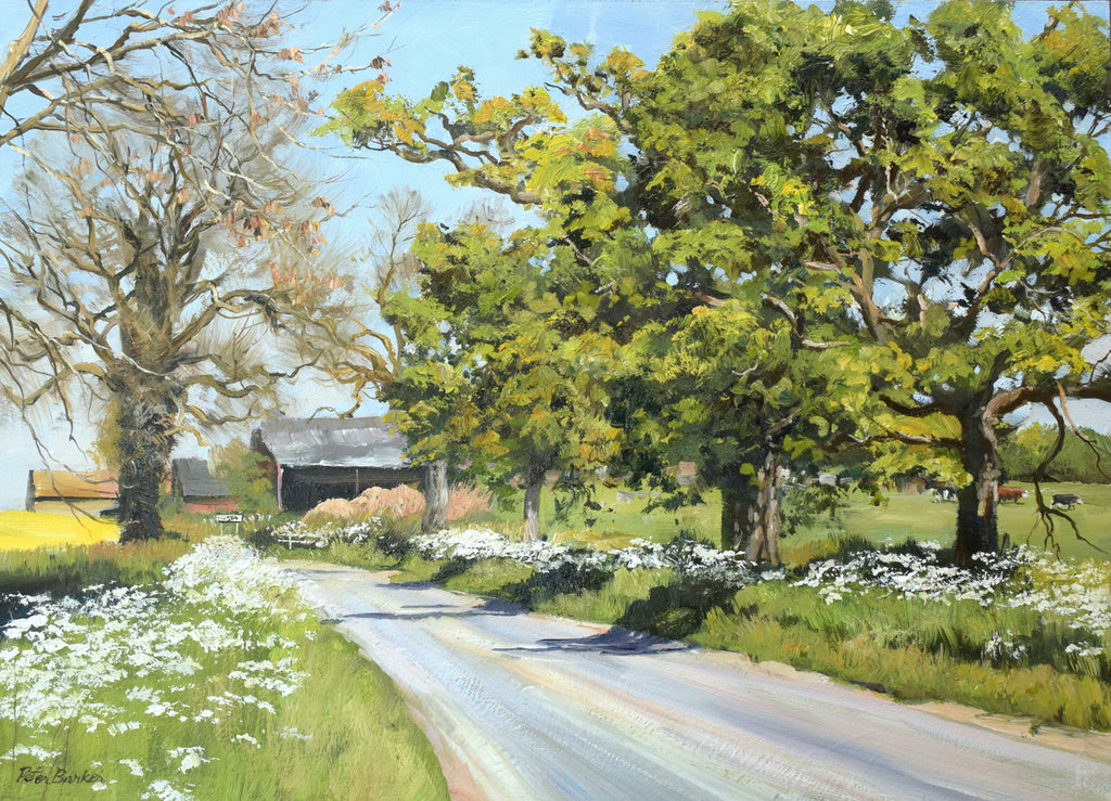 10 x 14 inch painting of a lane leading to some barns, each verge adorned with Cow Parsley, and mature Oak trees in the far verge and a bare Ash tree on the left verge.