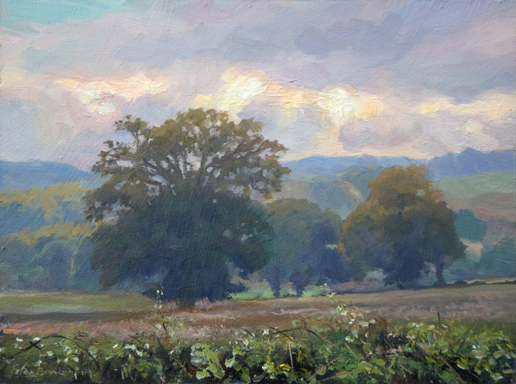 Over the Hedge from Pick's Barn, by Peter Barker - P E T E R     B A R K E R     F I N E     A R T 