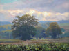 Over the Hedge from Pick's Barn, by Peter Barker - P E T E R     B A R K E R     F I N E     A R T 