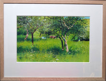 Load image into Gallery viewer, Vibrant green painting with several fruit trees in blossom, with some bee hives and a red tractor in the centre.
