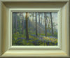 Pines and Bluebells, Barnsdale - P E T E R     B A R K E R     F I N E     A R T 